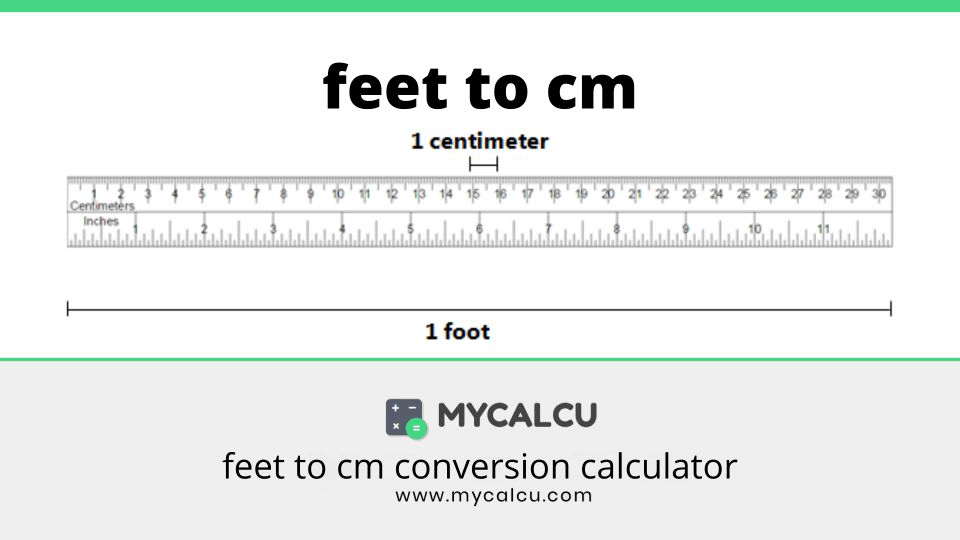 feet to cm